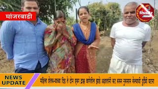 महिला शेतकर्‍याच्या द्राक्ष बागेतील झाडे अज्ञातांनी कट करुन नुकसान केल्याची दुर्दैवी घटना