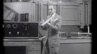 Dr. Alexander Lippisch on Canards