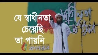 যে স্বাধীনতা চেয়েছি তা পাইনি | স্বাধীনতা | Aynuddin Al Azad Rah.