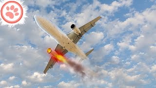 10 Saddest Last Words From Pilots About to Crash