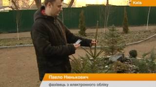 Украинские искусственные елки полностью вытеснили с рынка китайские