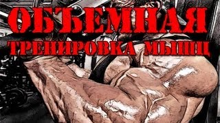 ОБЪЕМНАЯ ТРЕНИРОВКА МЫШЦ = СУТЬ КУЛЬТУРИЗМА