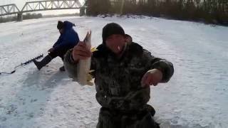 первый лед река чулым