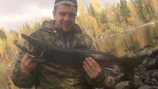 Рыбалка в Карелии. Ловля лосося на спиннинг. Fishing in Karelia. Salmon fishing spinning