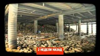 Орел и решка: Клад в Стокгольме (24.12.2011)