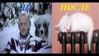Дует холодный воздух из печки. Газель бизнес,NEXT, Эвотек