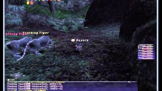 【FF11】メナスカミール　1-5B　7人編成