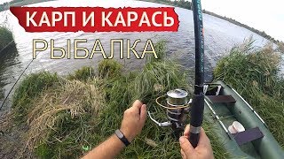 Рыбалка на карпа и карася на ложку c берега в сентябре | Заречье (Прилепы)