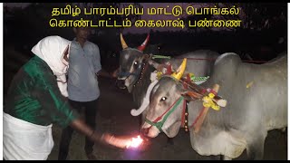 தமிழ் பாரம்பரிய மாட்டு பொங்கல் கொண்டாட்டம் at கைலாஷ் பண்ணை TRADITIONAL MATTU PONGAL CELEBRATION !!!