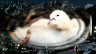 Скачать детские клипы Хосе Антонио Испания   Мой район