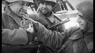 1942 год Туапсе