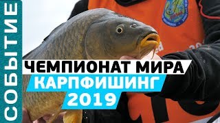 Чемпионат мира по карпфишингу 2019! Всемирные рыболовные игры в #ЮАР!