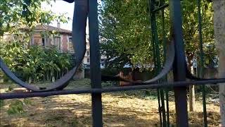 Poda jardín paseo estacion