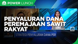 Strategi BPDPKS Percepat Penyaluran Dana Peremajaan Sawit Rakyat