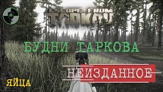 Escape From Tarkov Неизданное Яйца