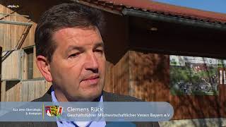 Aus dem Oberallgäu und Kempten - 9. November 2017