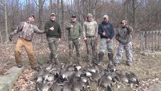 Goose Hunting 2012 Pennsylvania #2