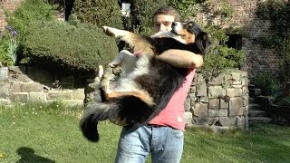 Wie trägt man einen Hund richtig? Witzige Vorschläge inklusive