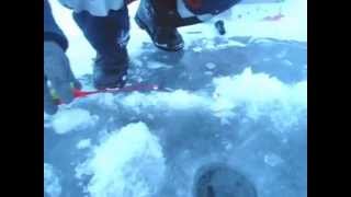 Зимняя рыбалка на сорочинском водохранилище