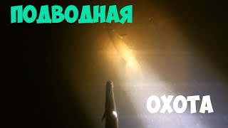 Подводная Охота 2020.Взял Трофей на Секретном водоёме