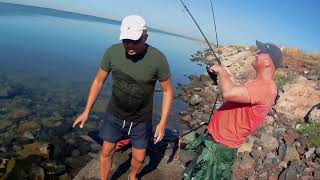 Потрясающая ловля пеленгаса на Азовском море.