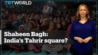 Why is India’s ruling party demonising the Shaheen Bagh protesters?