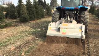 What Happens To The Christmas Tree's That Get Left Behind?