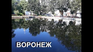 Красивый ВОРОНЕЖ / Кольцовский сквер