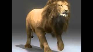 Rigged and Animated Lion for 3ds Max, 3D Studio, Cinema 4D, Lightwave, and Maya