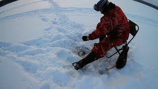 #20 Уххх!!!! Приятный размерчик!!!! Плотва на мухомормыш. Зимняя рыбалка 2017-2018 г.