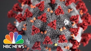 What You Should Know About The Coronavirus | NBC News NOW