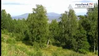 Per VW Bulli zum Ural