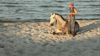 Reiten am Strand