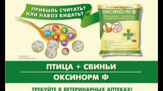 Оксинорм - стимулятор роста свиней и птицы