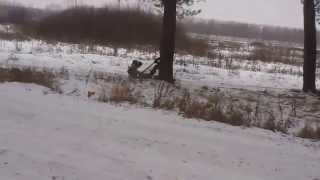 Мотобуксировщик "Альбатрос-М", веселые покатушки