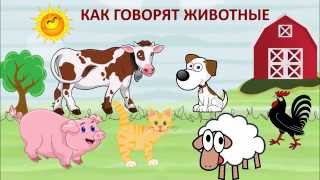 Как говорят животные - звуки и голоса домашних животных