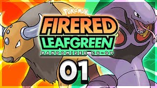 Pokemon Fire Red & Leaf Green Randomizer Nuzlocke Co-Op w/TaurosTamer | EP 1 | A VERY ROUGH START...