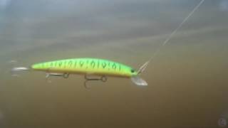 O. S. P. Varuna 110SP
