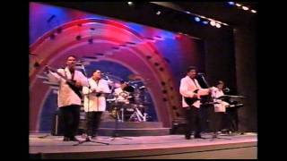 The Five Stars- You're just too good to be true ( Cover song- Live)