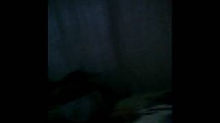 Ask ve mavi 12.bolum sevda kararini verdi