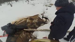 IRBIS Tungus 600L. Весна пришла