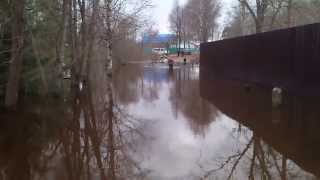 Наводнение в Московской области, Карманово