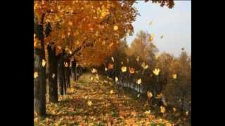 Natali Queen "Целует осень"