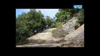 La Nuova Tg " Trivelle nel materano" 21-04-2013