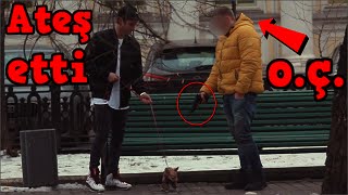 Para Karşılığı Köpek Öldürür müsün? (Türkçe Altyazılı Sosyal Deney)