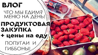 ВЛОГ: Цены на продукты в Барселоне! ЧТО Я ЕМ? Наше МЕНЮ на день!