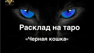 Расклад на Таро "Соперница-Черная Кошка"