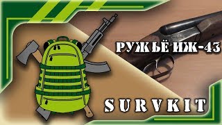 Ружьё ИЖ-43
