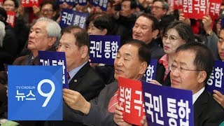 '국민통합연대' 띄운 홍준표·이재오…보수 분열 불씨 우려도