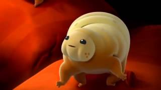 Octonauts and the Water Bears S03E02
